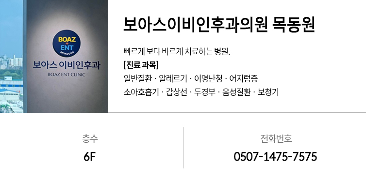 6F보청기